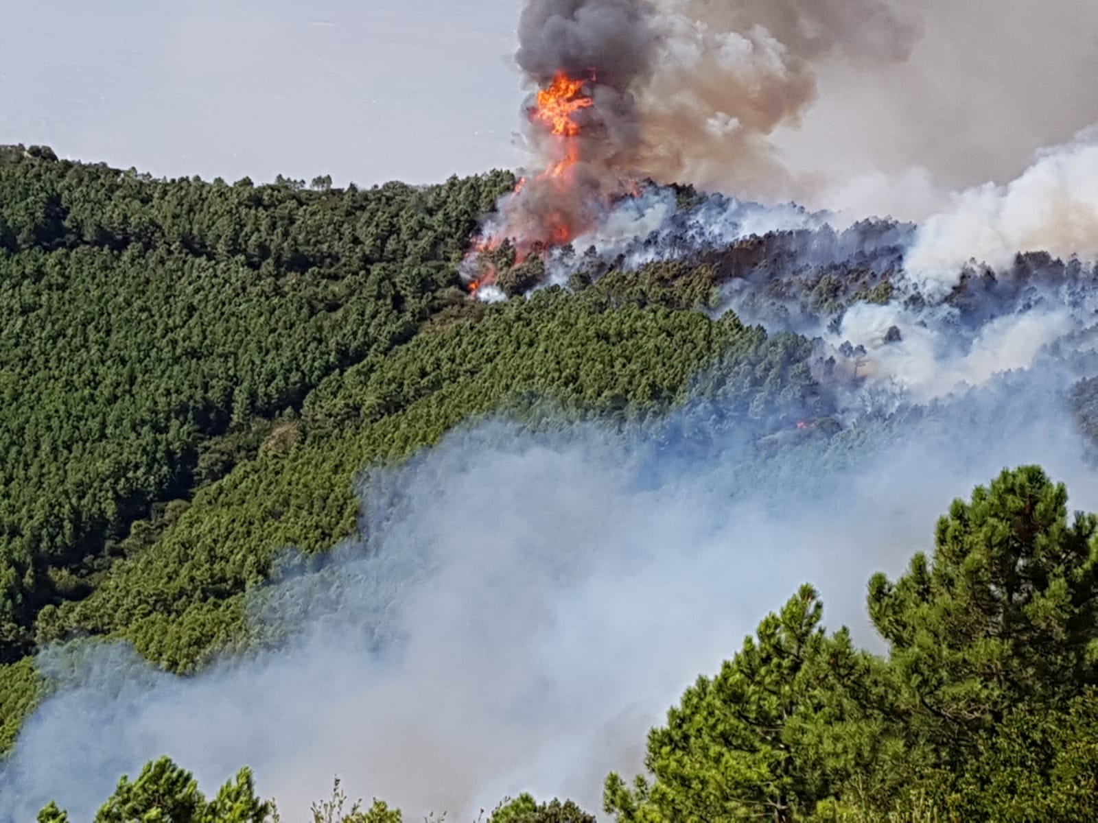 monteserra-incendio-pisa